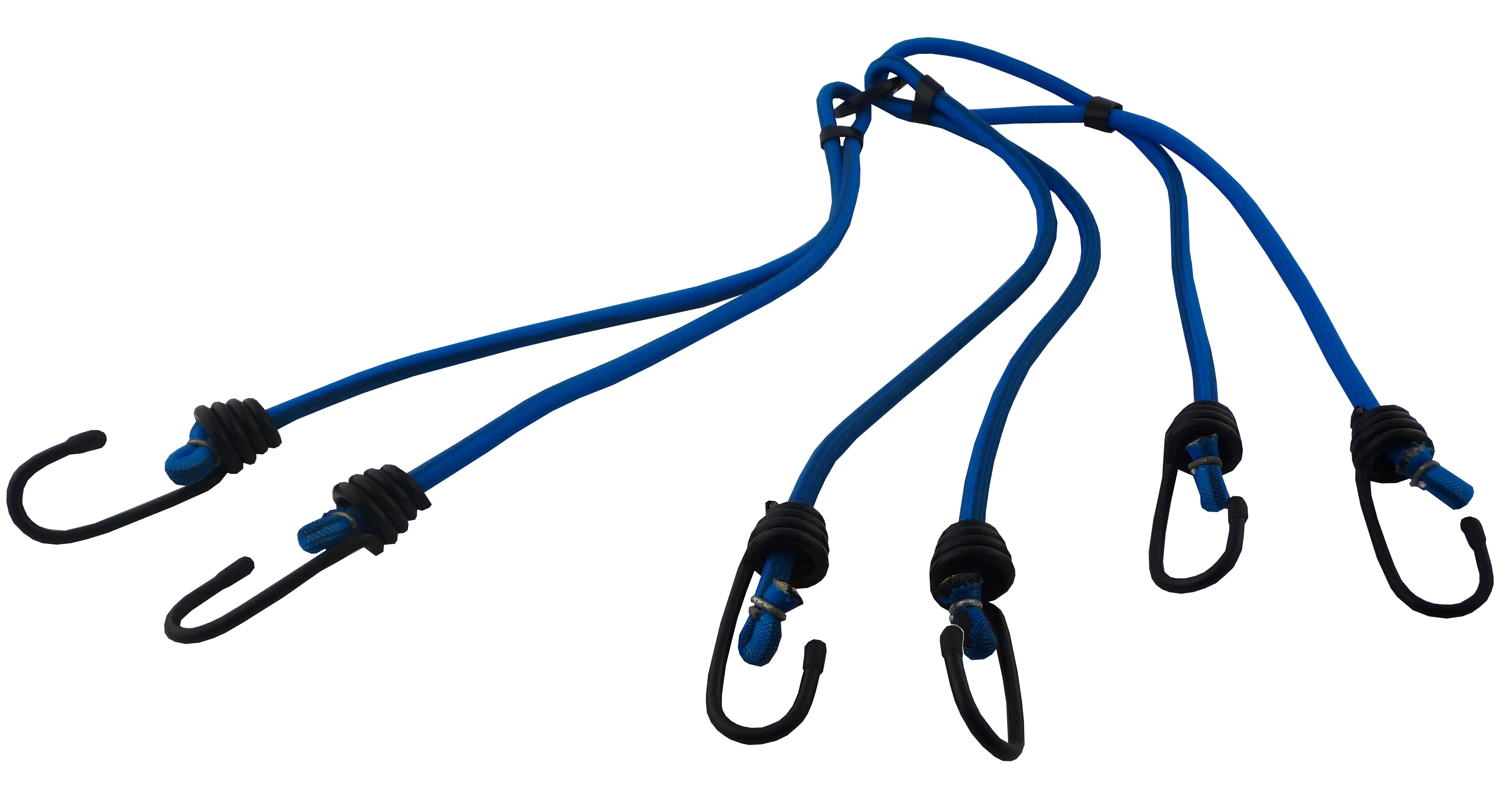 Bungee cord with hook