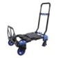 Combination trolley & foldable hand truck