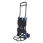 Combination trolley & foldable hand truck