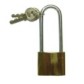 Parking hoop with padlock