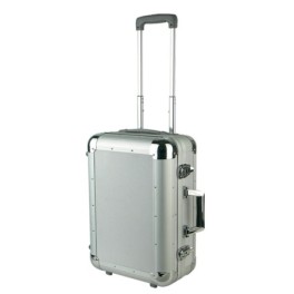 Aluminum protective case with telescopic handle