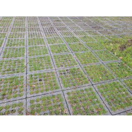 Plaque de roulage temporaire 0.48 m - 40 t