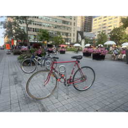 VELOPINS bike hoop