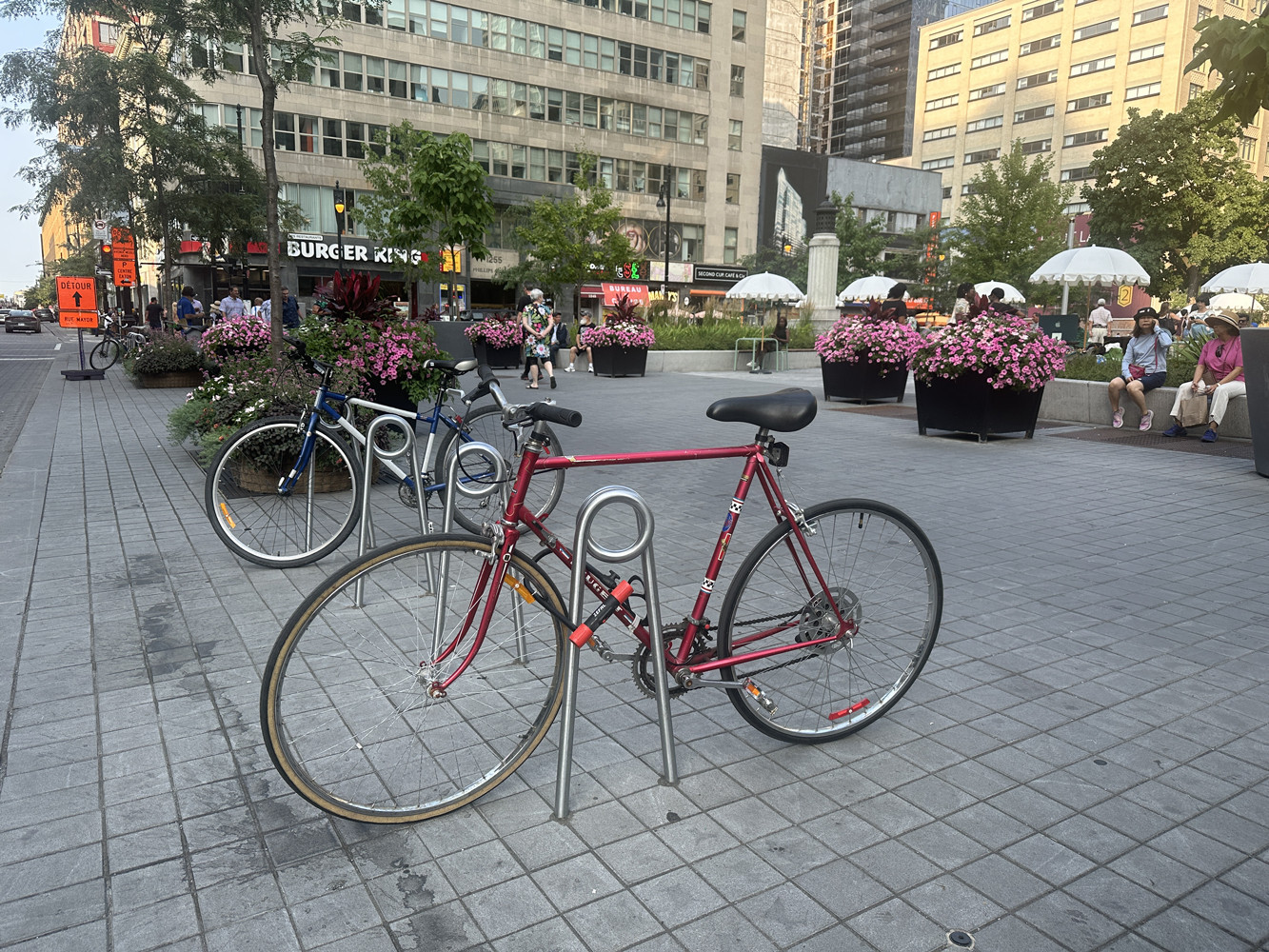 VELOPINS bike hoop
