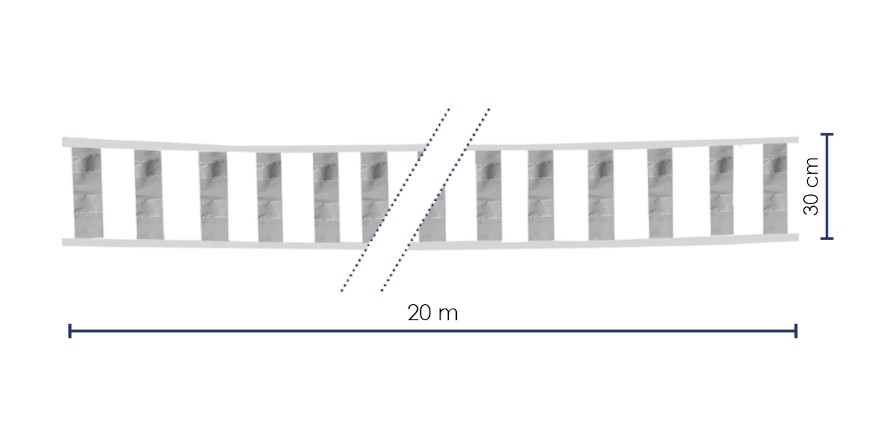 Fabric signaling band