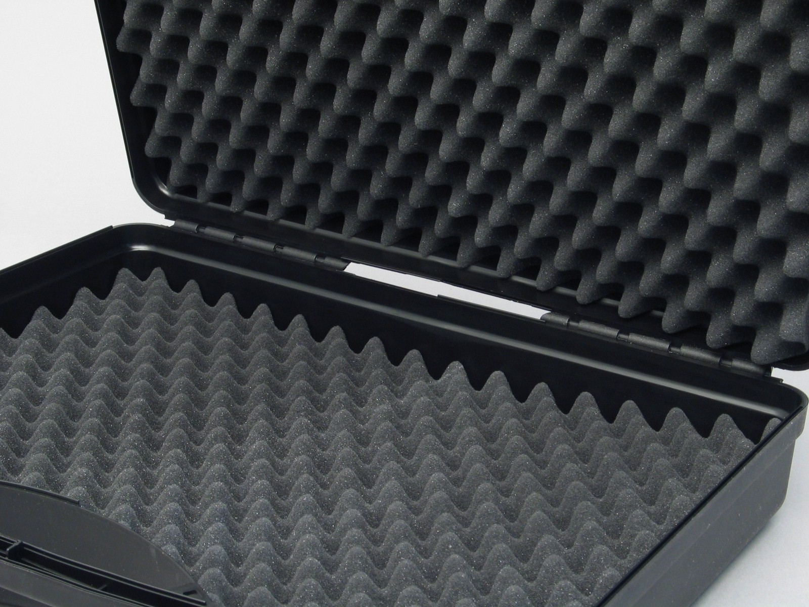 Standard industrial case