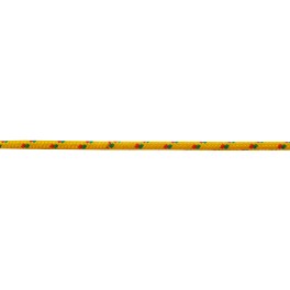 Polyester halyard