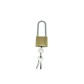 Cadenas pour arceau de parking