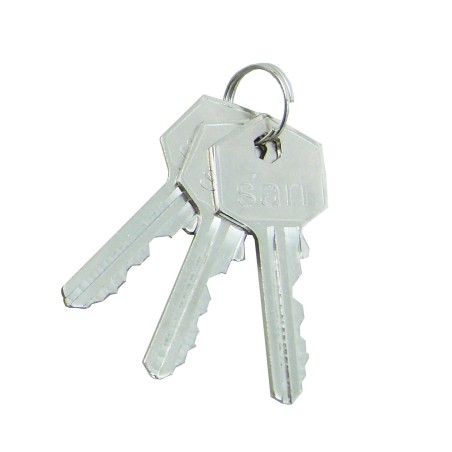 Master key for parking bollard