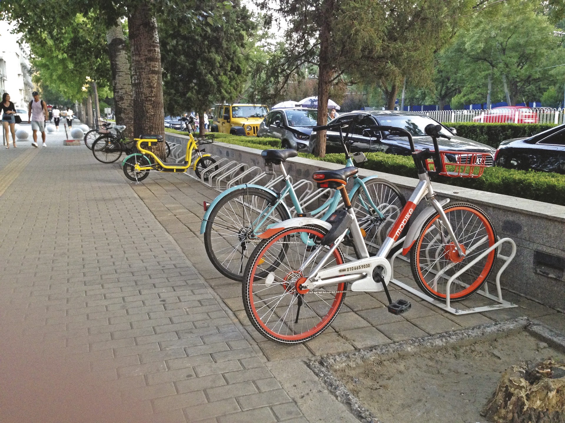 Support Vélo 1 place